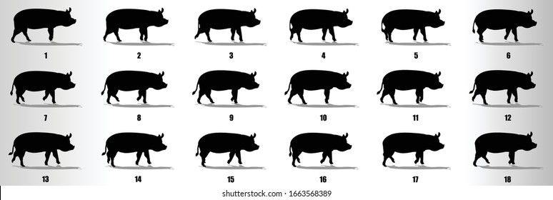 15 Pig Walk Cycle Images, Stock Photos & Vectors | Shutterstock