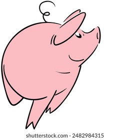 Pig walking and looking to the side, seen from the front smiling and happy
