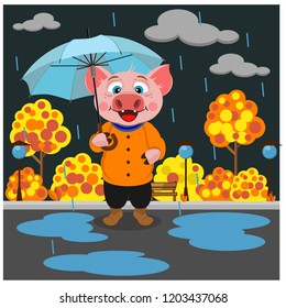 Pig walks in the Park in the autumn rain. Vector illustration. Symbol of 2019.