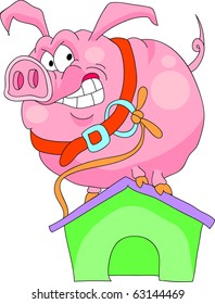 pig - a watchman