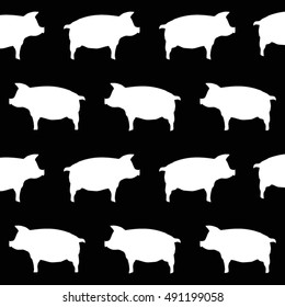pig white