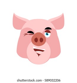 Pig winking. piggy merry emotion on white background. Farm animal