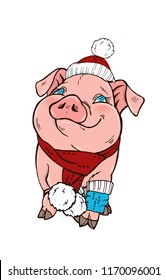 Pig in winter clothes hat and scarf, vector illustration