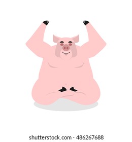 Pig yoga. Animal meditating. Farm animal on white background. Condition of nirvana and enlightenment. lotus Pose