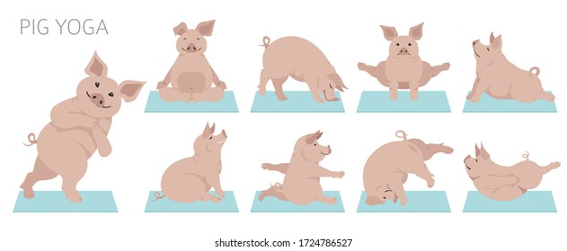 Pig yoga poses and exercises. Cute cartoon clipart set. Vector illustration