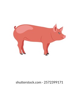 Pig Zodiac, China Symbols Vector Illustration