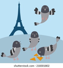 pigeon