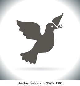 pigeon