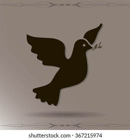 pigeon