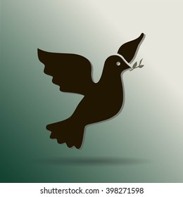 pigeon
