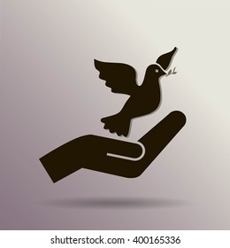 pigeon