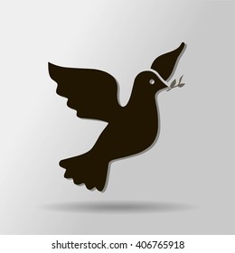 pigeon