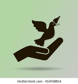 pigeon