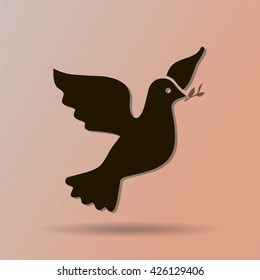 pigeon