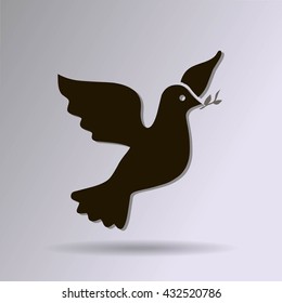 pigeon