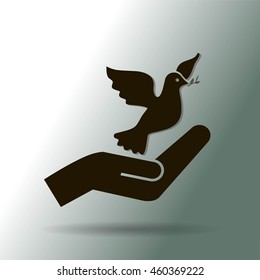 pigeon