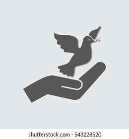 pigeon