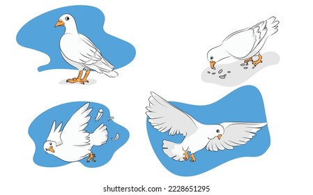 Pigeon in 4 action vector illustration
