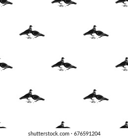 Pigeon.Old age single icon in black style vector symbol stock illustration web.