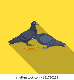 Pigeon.Old age single icon in flat style vector symbol stock illustration web.