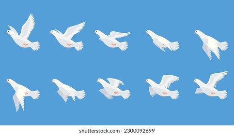 Pigeon animation. Bird motion wings in heaven. Flying migratory pigeon, cartoon vector illustration. Bird dove animation element. White pigeon flight sequences