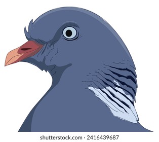 A pigeon beak vector illustration svg