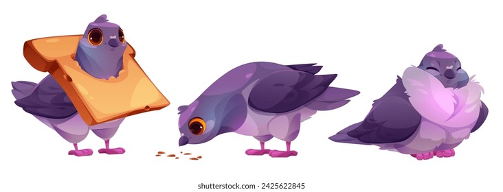 Personajes de aves palomas comiendo conjunto aislado sobre fondo blanco. Ilustración de dibujos animados de vector de paloma linda con rebanada de pan en el cuello, recogiendo migas y semillas en el suelo, sentado feliz, mascotas cómicas