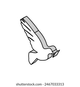 pigeon bird christianity isometric icon vector. pigeon bird christianity sign. isolated symbol illustration