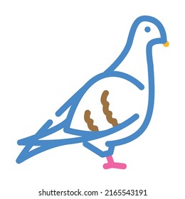 pigeon bird color icon vector. pigeon bird sign. isolated symbol illustration