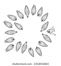 Pigeon bird contour sitting. Flat cartoon character design. Outline bird icon. Cute pigeon template. Vector illustration isolated on white background.