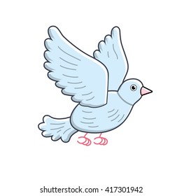 Pigeon bird flying.