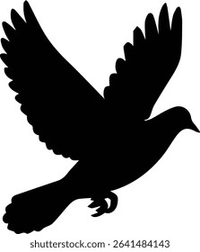 Pigeon bird flying  - Dove bird on transparent background
