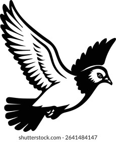 Pigeon bird flying  - Dove bird on transparent background