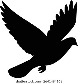 Pigeon bird flying  - Dove bird on transparent background