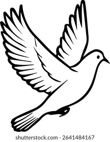Pigeon bird flying  - Dove bird on transparent background