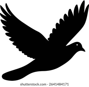Pigeon bird flying  - Dove bird on transparent background