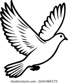 Pigeon bird flying  - Dove bird on transparent background