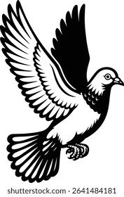 Pigeon bird flying  - Dove bird on transparent background