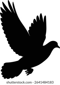 Pigeon bird flying  - Dove bird on transparent background