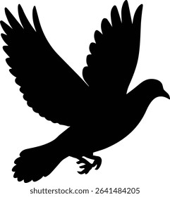 Pigeon bird flying  - Dove bird on transparent background