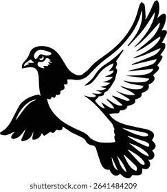 Pigeon bird flying  - Dove bird on transparent background