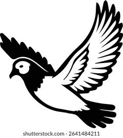 Pigeon bird flying  - Dove bird on transparent background