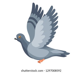 Pigeon bird flying, pigeon flaps its wings. Flat cartoon character design. Colorful bird icon. Cute pigeon template. Vector illustration isolated on white background.