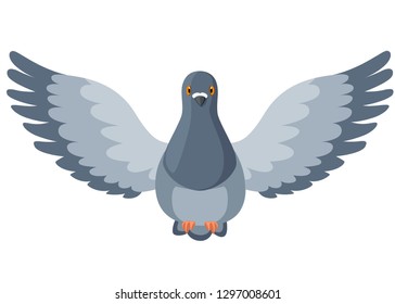 Pigeon Bird Flying Pigeon Flaps Wings Stock Vector (Royalty Free ...