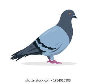 Pigeon bird icon. Grey dove vector illustration isolated on white background.
