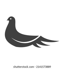 Pigeon bird illustration vector design
