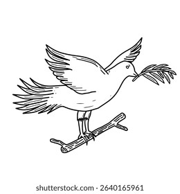 Pigeon bird with leaf thin line icon, peace concept. Hand drawn flying pigeon with branch line art