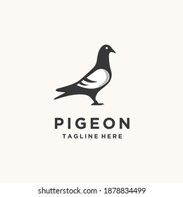 Pigeon Bird Logo Design Illustration Vector