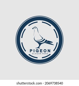 Pigeon Bird Logo Design Vector