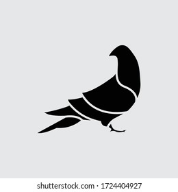 plantilla de vector de icono del logotipo de pájaro pichón